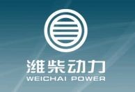 Weichai Power Co,.Ltd.