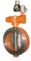 BUTTERFLY VALVE 