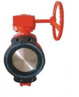 BUTTERFLY VALVE 