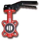Butterfly Valves - Butterfly type