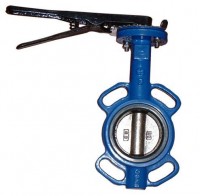 Long neck butterfly valve