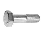 Standard Bolt