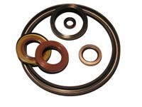 Oil seals