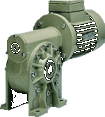 Motor gear reducer