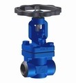 Gate Valve