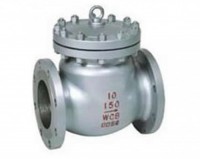 Check Valve