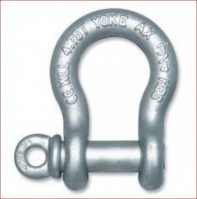 Forged anchor shackle with screw pin