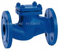 Marine Check Valve