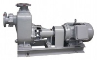 Marine Self-Priming Pump