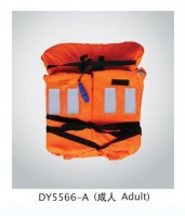 Lifejacket,lifebuoy,immersion suit,pilot rope ladder,line throwing appliance